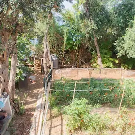 Casa Lolo Procida
